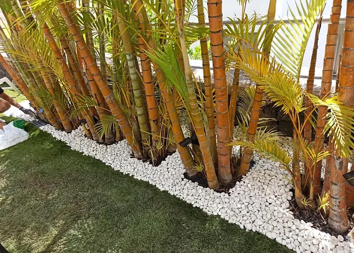 فيلة Fenix Premium