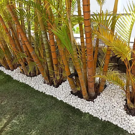 Вилла Fenix Premium